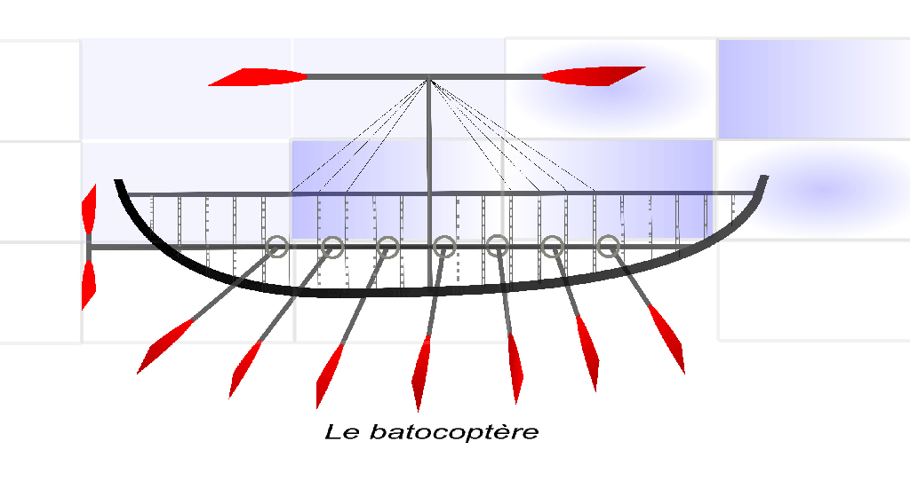 batocoptere dessin